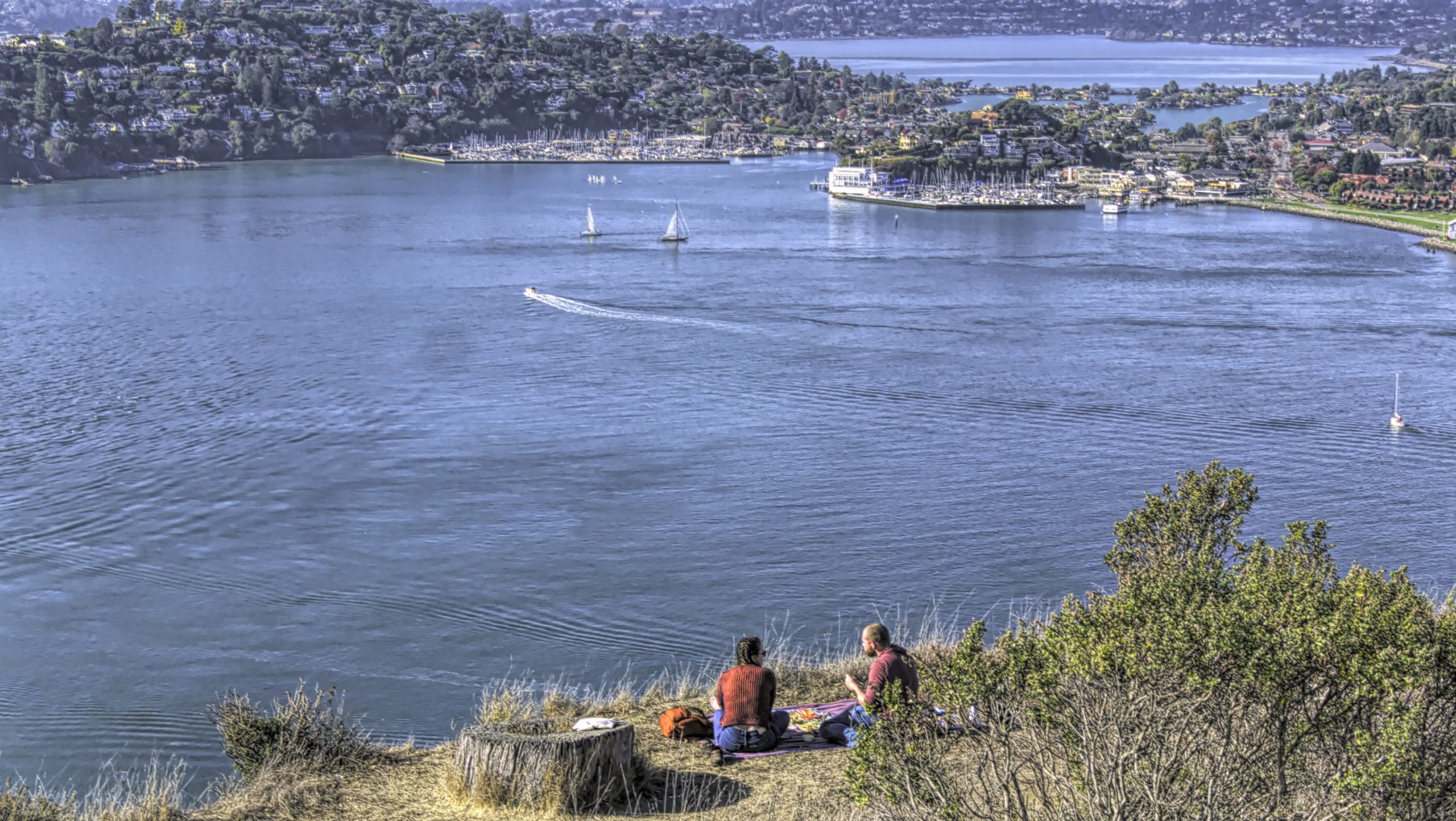 a couple having a picnic with a view of San Francisco Bay