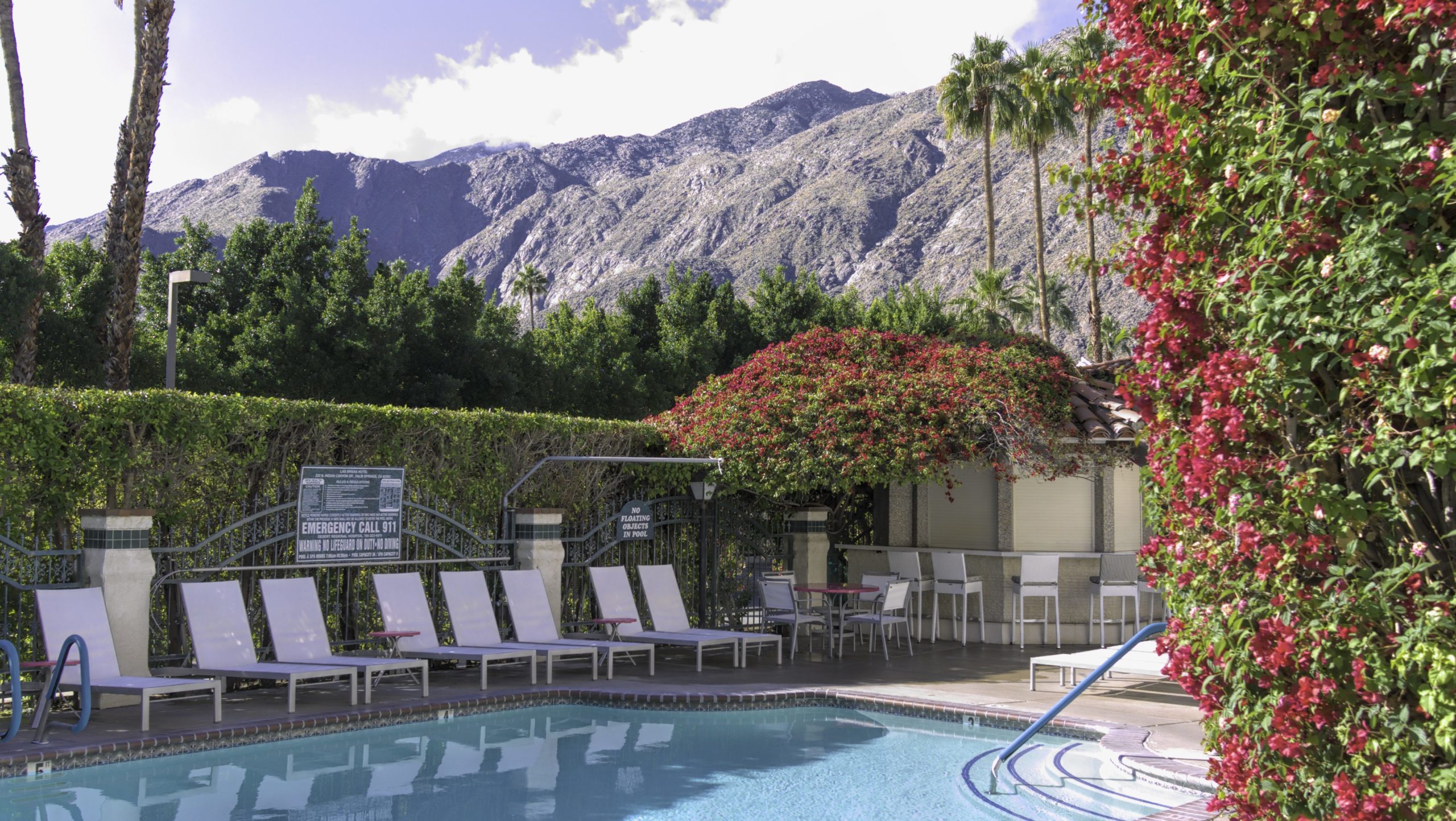 a swimming pool with lounge chairs and colorful bushes around it and mountains in the background