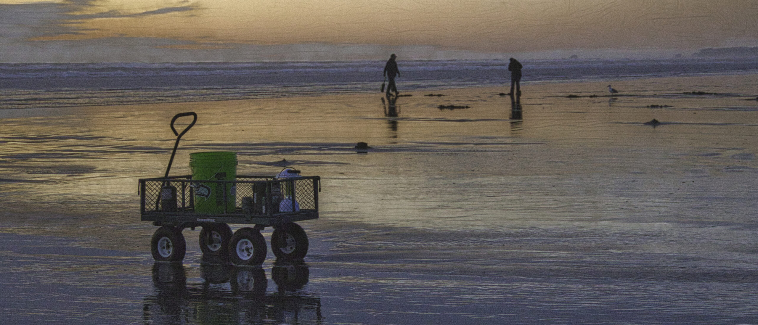 Clam diggers and a four wheel cart in Pacific Beach