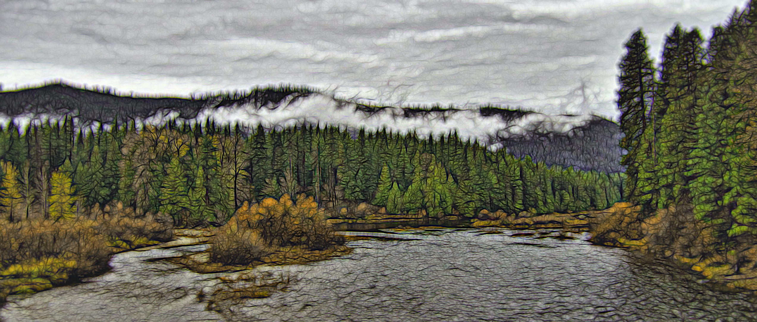 Looking out over the Wenatchee RIver at Lake Wenatchee State Park