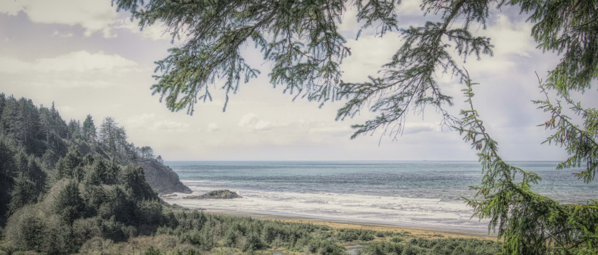 A section of the beach near Long Beach, Washington