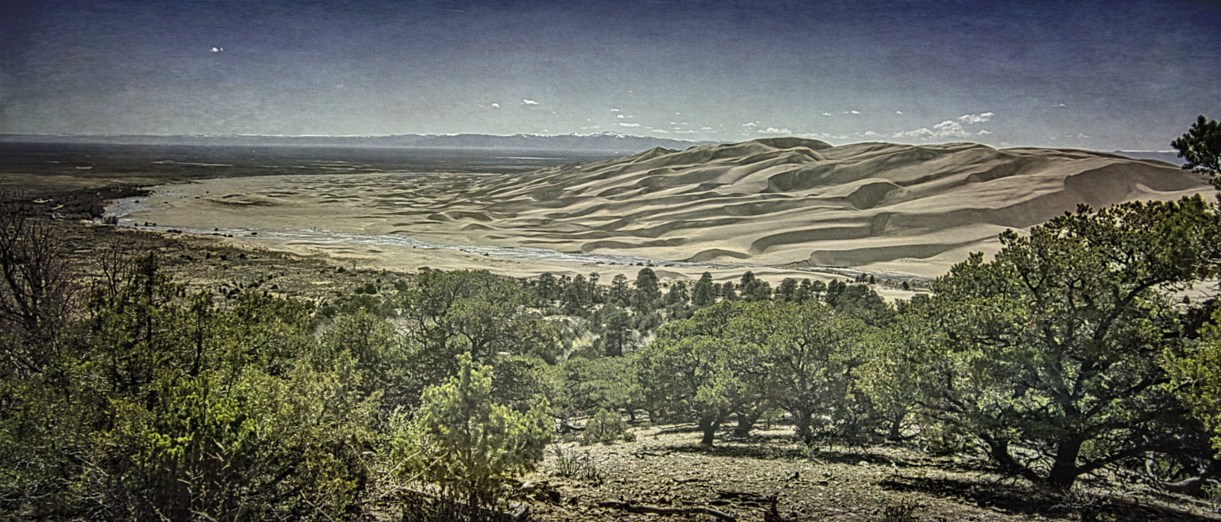 Great Sand Dunes seen from a nearby viewpoint.