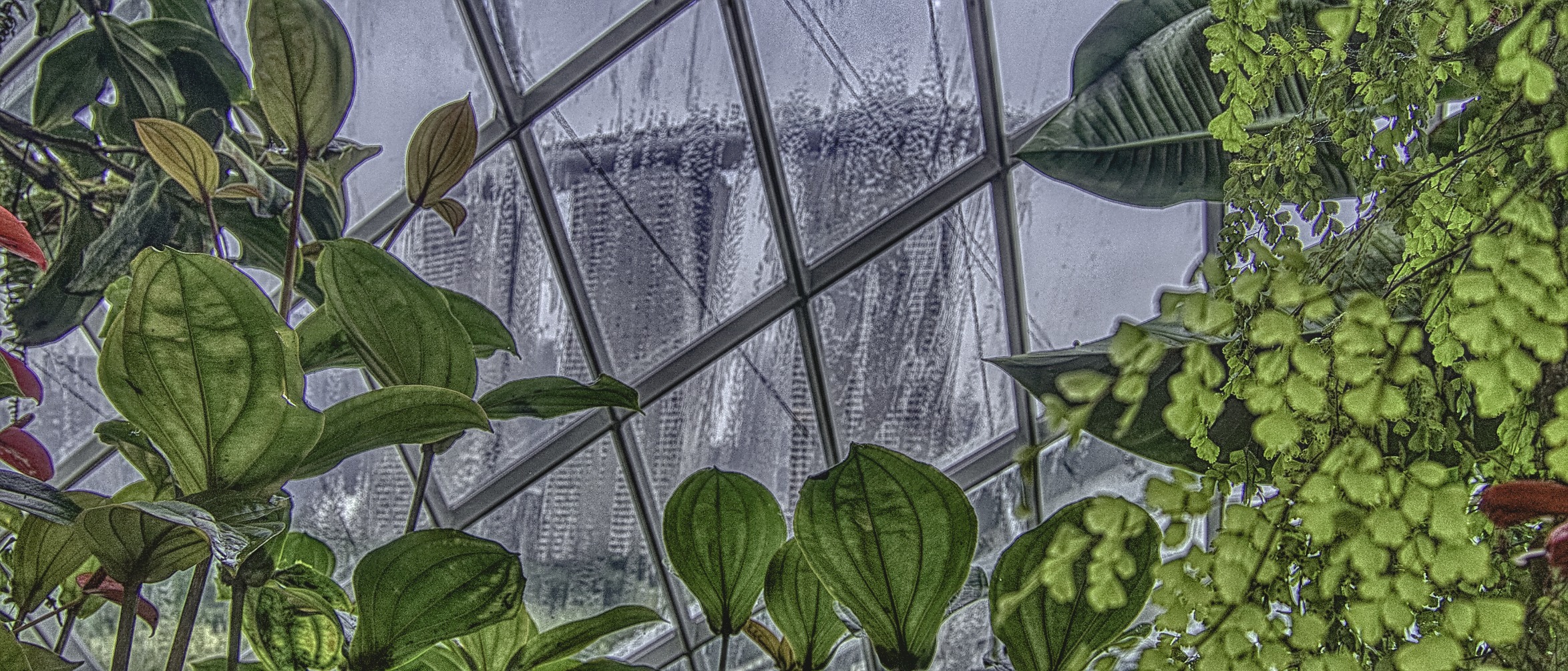 Looking through the plants to the nearby hotel on a rainy day in Singapore.