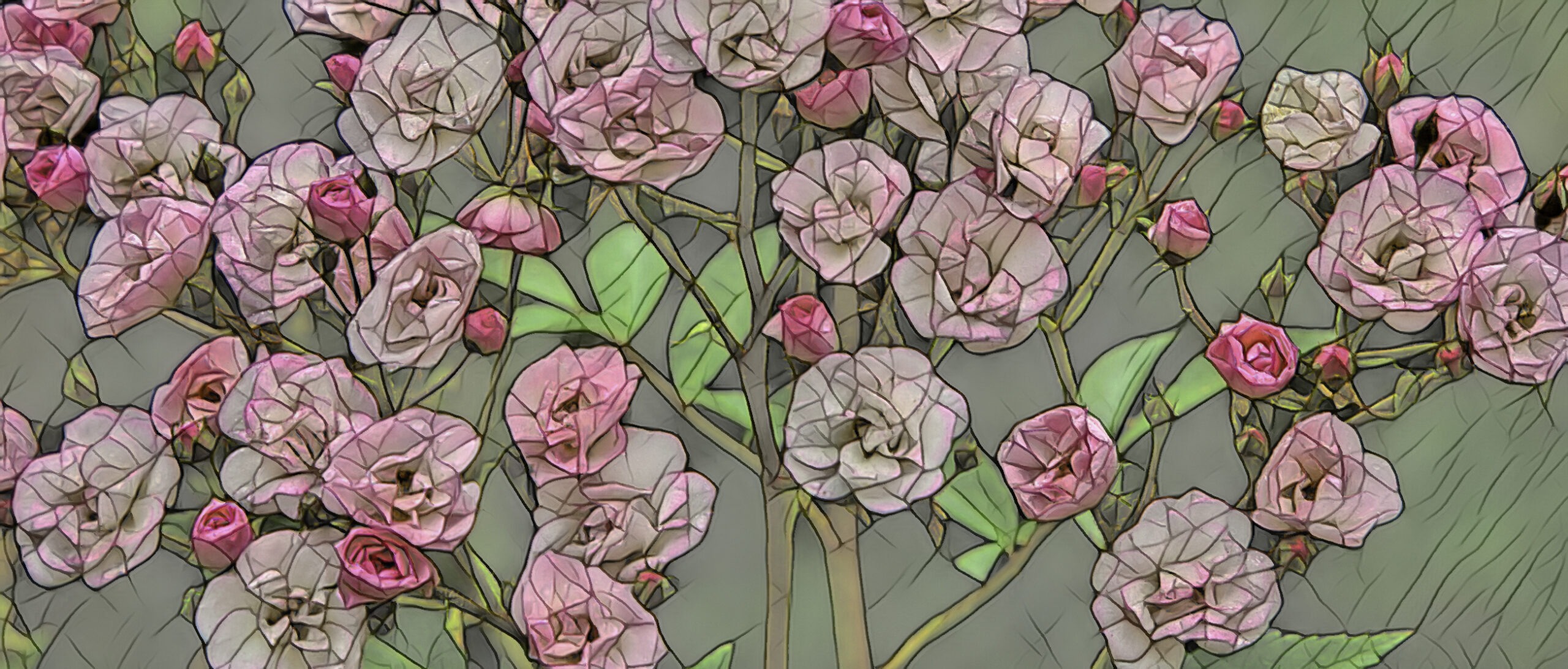 Roses in Lake Wilderness Arboretum in Maple Valley, Washington