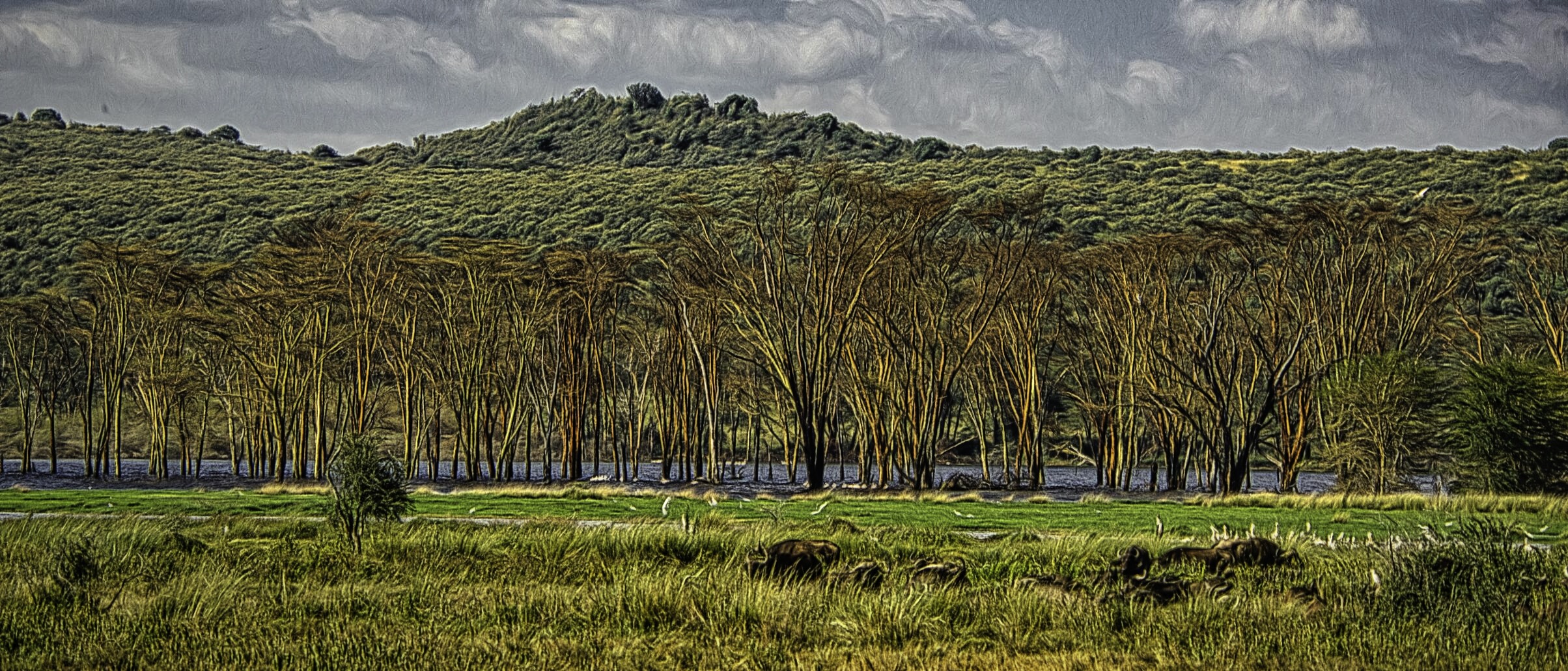 Near barren trees along the edge of Lake Nakuru in Kenya