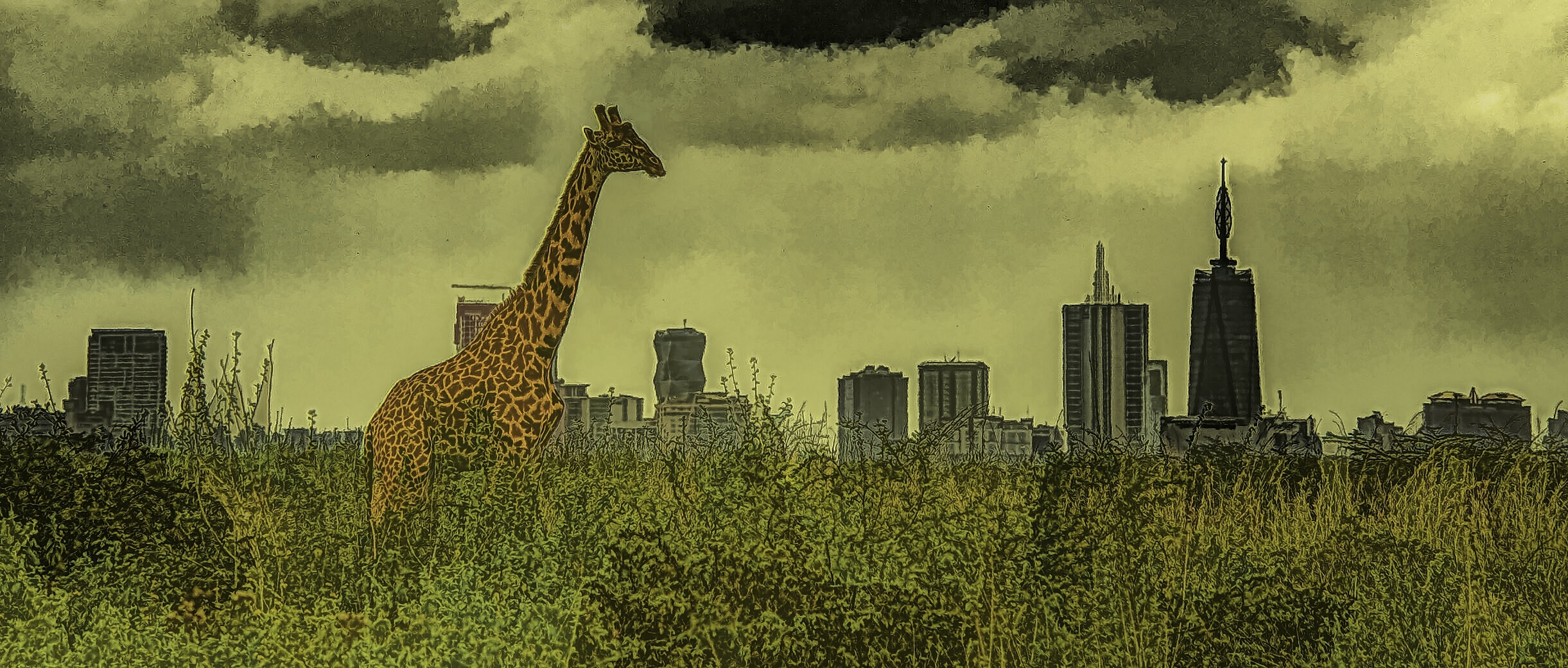 Giraffe standing in Nairobi National Park with Nairobi, Kenya in the background.